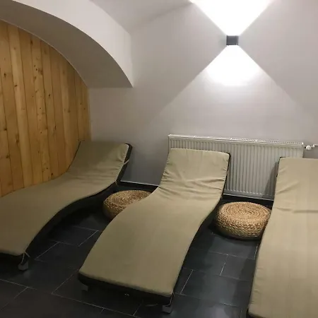 Апартаменты Apartmany Dolni Moravice *