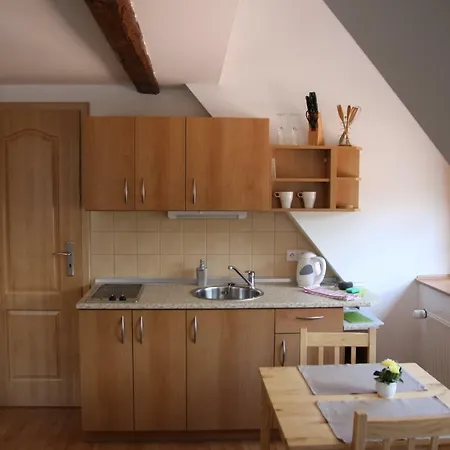Апартаменты Apartmany Dolni Moravice Dolni Moravice